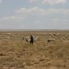 2 dan - Adana-Tarz-Kapadocija-Konya_028
